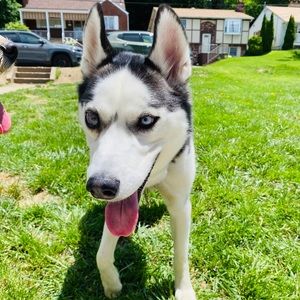 Meet your Posher, Mindy